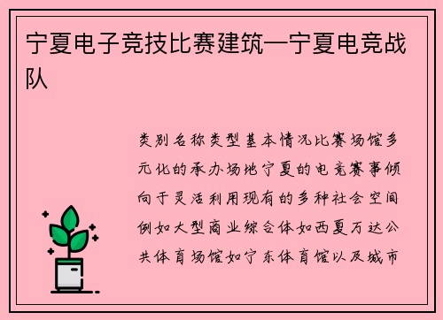 宁夏电子竞技比赛建筑—宁夏电竞战队